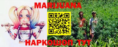 стафф Новозыбков