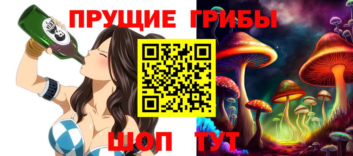 Туймазы  Псилоцибиновые грибы Cubensis  Вход с VPN 
