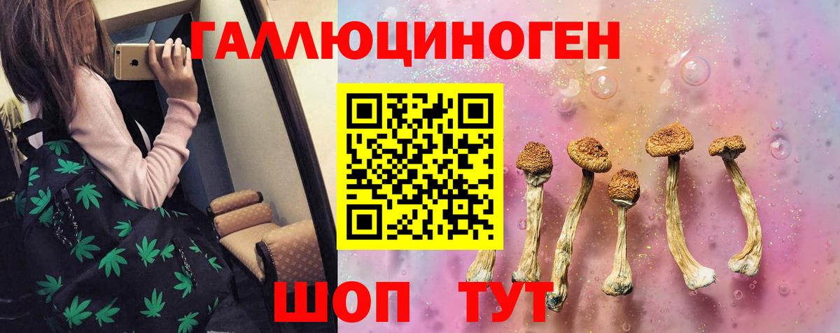 Галлюциногенные грибы Psilocybe Туймазы